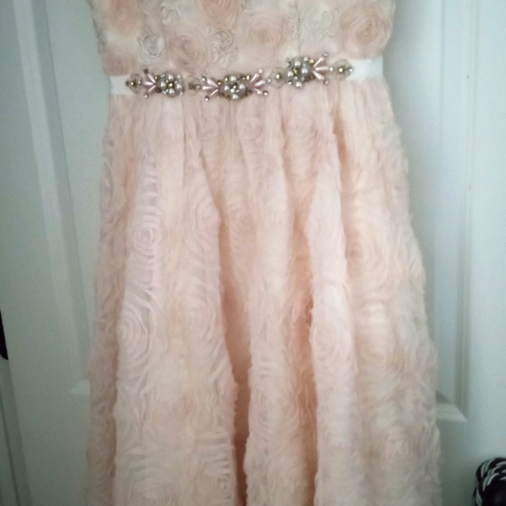 New Adriana Papeil...pearl lace gorgeous long gown so elegant size 10